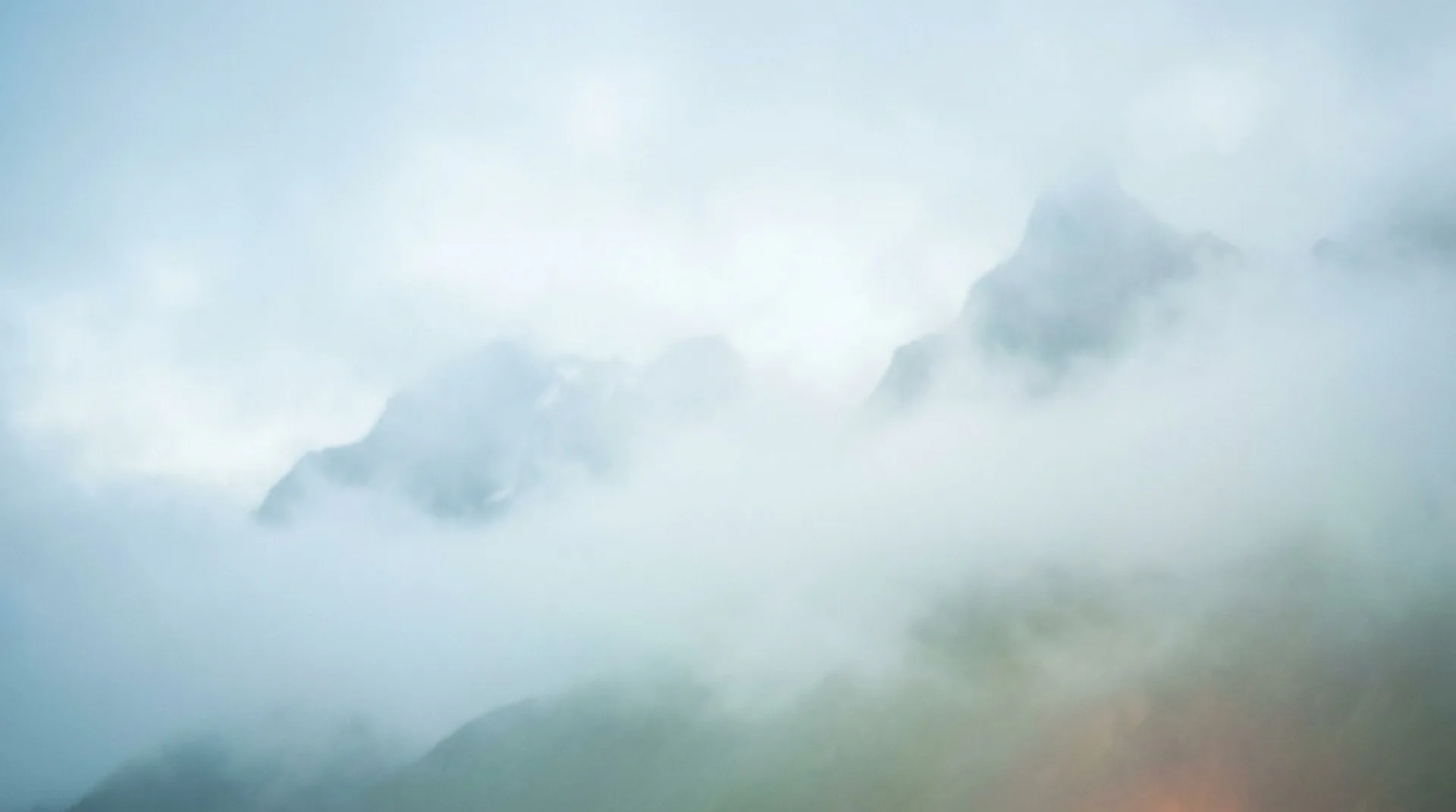 A soft open clearing under a pale sky